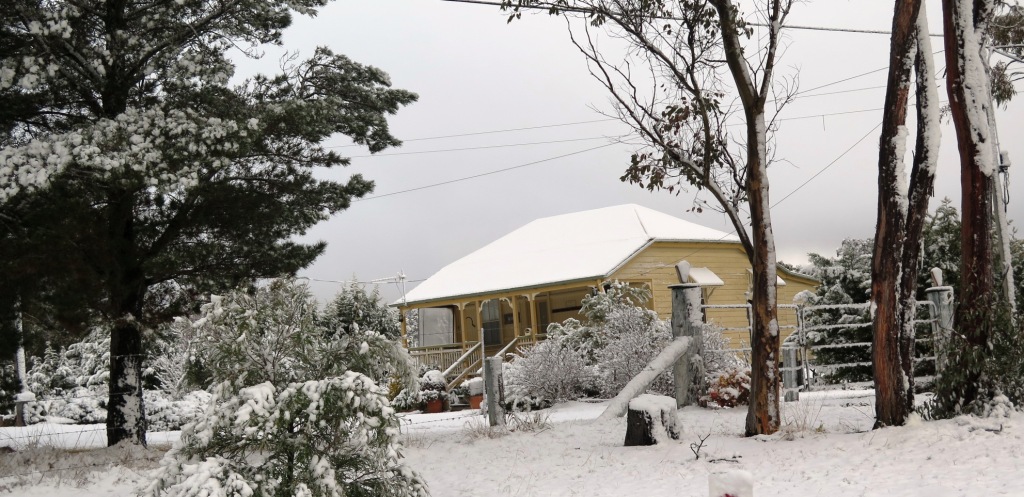 Casita de Campo Snow 2015